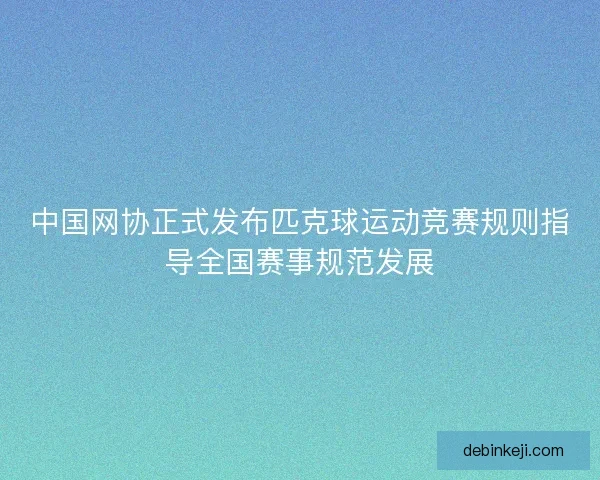 中国网协正式发布匹克球运动竞赛规则指导全国赛事规范发展